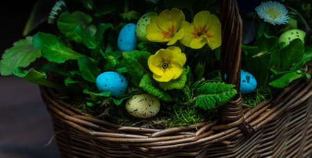 Spring floral concept for Easter holiday on dark wooden background with copy spaceの写真素材