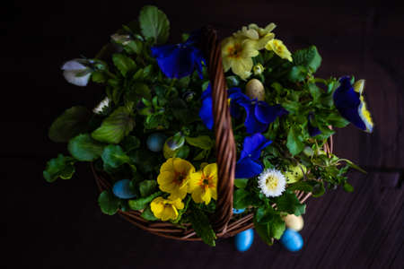 Spring floral concept for Easter holiday on dark wooden background with copy spaceの写真素材
