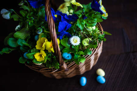 Spring floral concept for Easter holiday on dark wooden background with copy space