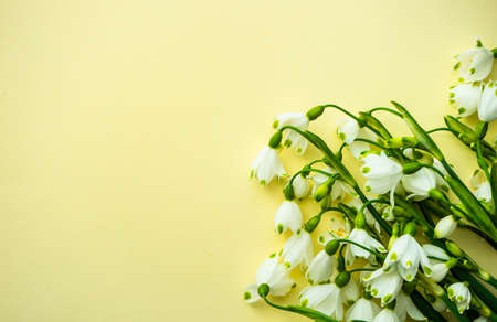 Easter holiday card concept with fresh snowdrop flowers on rustic background with copy spaceの写真素材