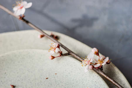 Spring floral concept with blooming cherry tree branches and serving with rustic tablewares on...