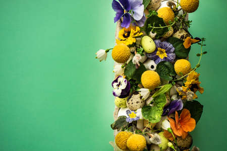 Easter holiday natural composition with first spring flowers like tricolor violas and primerose ,...