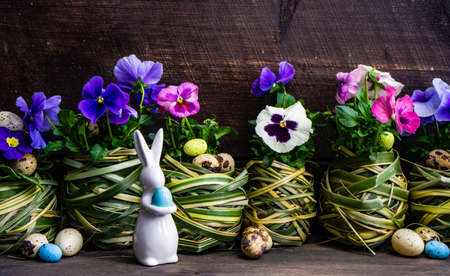 Easter holiday natural composition with first spring flowers like tricolor violas and primerose ,...