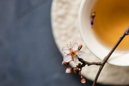 Cup of floral green tea and blooming cherry ttree branch on concrete background with copy spaceの写真素材