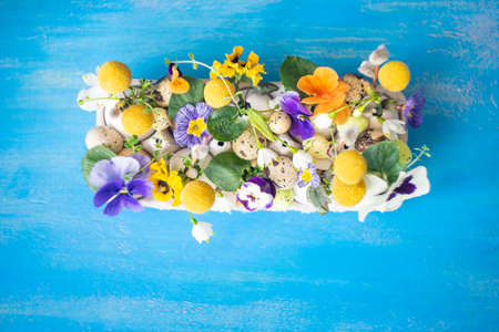 Easter holiday natural composition with first spring flowers like tricolor violas and primerose ,...