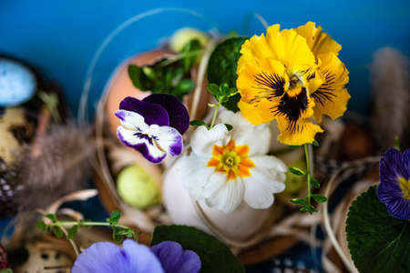 Easter holiday natural composition with first spring flowers like tricolor violas and primerose , colored eggsの写真素材