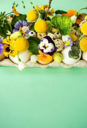 Easter holiday natural composition with first spring flowers like tricolor violas and primerose ,...