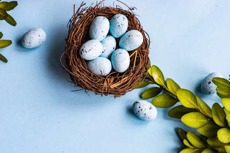 Easter holiday card concept with blue colored eggs and boxwood on pastel blue background with copy spaceの写真素材