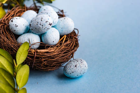 Easter holiday card concept with blue colored eggs and boxwood on pastel blue background with copy...