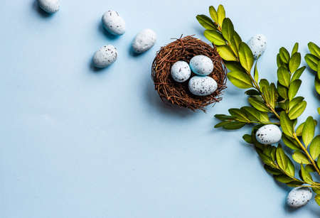 Easter holiday card concept with blue colored eggs and boxwood on pastel blue background with copy spaceの写真素材