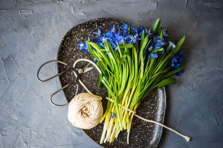 Spring table setting with blue scilla siberica flowers on concrete background with copy space