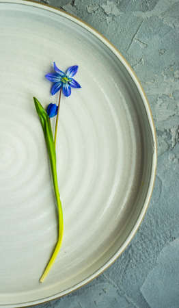 Spring table setting with blue scilla siberica flowers on concrete background with copy spaceの写真素材