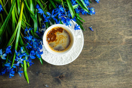 Spring coffee concept with bright blue scilla flowersの写真素材