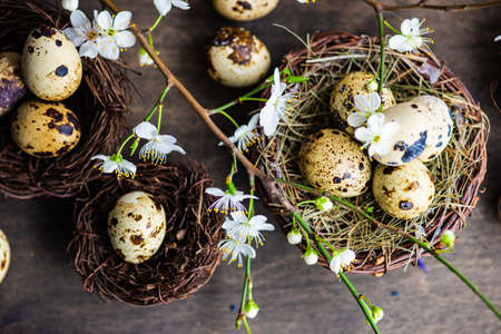 Easter holiday card concept with cherry bloom and bird nest full of eggs on rustic background with copy spaceの写真素材