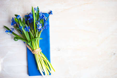 Spring table setting with blue scilla siberica flowers on concrete background with copy space
