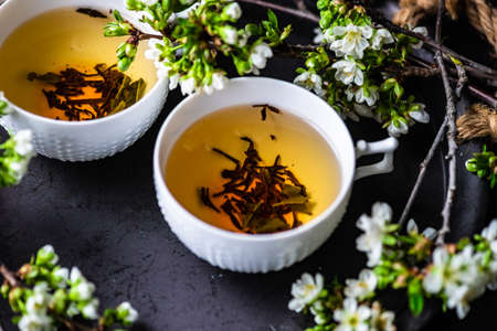 Spring tea time concept with cup of tea and cherry blomming tree branchesの写真素材