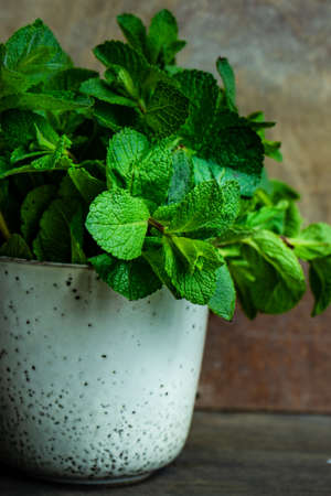 Organic food concept with fresh green leaves of mint plantの写真素材