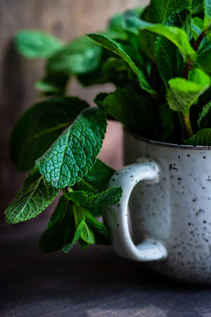Organic food concept with fresh green leaves of mint plantの写真素材