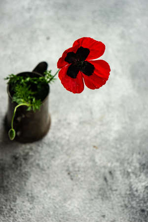 Beautiful red poppy flowers in vintage vase a a summer  home decorの写真素材