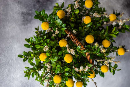 Easter card concept with floral composition with boxwood and colored eggsの写真素材