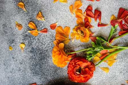 Summer floral card concept with bright flowers of ranunculus plantの写真素材