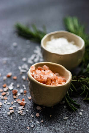 Spice cooking concept with sea salt and hot chilli pepper on dark background with copy space