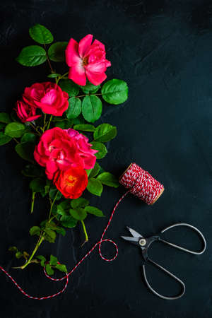 Floral frame concept with red tea roses on concrete background with copy spaceの写真素材
