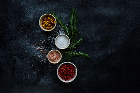 Spice cooking concept with sea salt and hot chilli pepper on dark background with copy spaceの写真素材