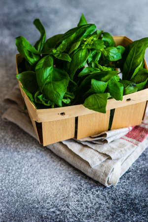 Healthy food concept with fresh basil herb leaves in a bowlの写真素材