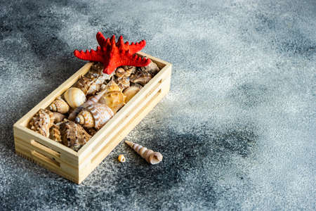 summer concept with wooden box full of sea shells on stone background