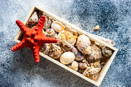 summer concept with wooden box full of sea shells on stone background