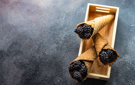 Organic food concept with fresh raw blackberries on stone background with copy spaceの写真素材