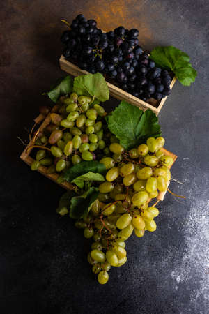 Organic food concept with variety of ripe grape on stone background with copy spaceの写真素材