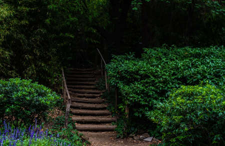 Rural landscape with old wooden staircase in Tbilisi's botanic gardenの写真素材