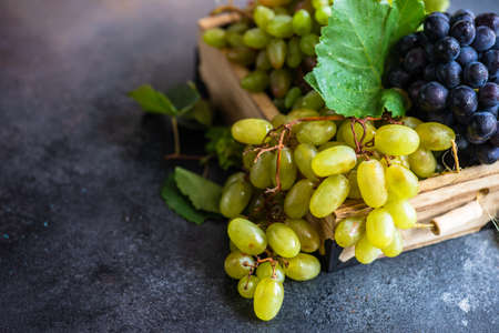 Organic food concept with variety of ripe grape on stone background with copy spaceの写真素材