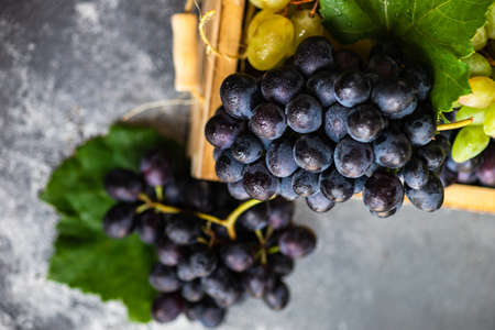 Organic food concept with variety of ripe grape on stone background with copy spaceの写真素材