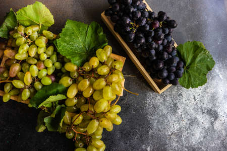 Organic food concept with variety of ripe grape on stone background with copy spaceの写真素材