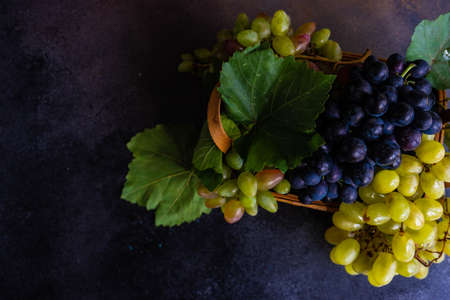 Organic food concept with variety of ripe grape on stone background with copy space