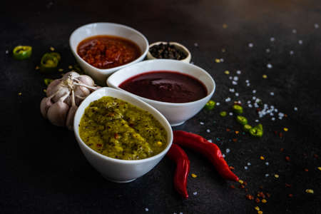 Variety of traditional georgian satsebeli sauces with kiwi, tomato and blackberry  on stone background with copy spaceの写真素材