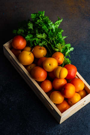 Traditional georgian tkemali sauce with fresh tkemali fruits and coriander on stone background