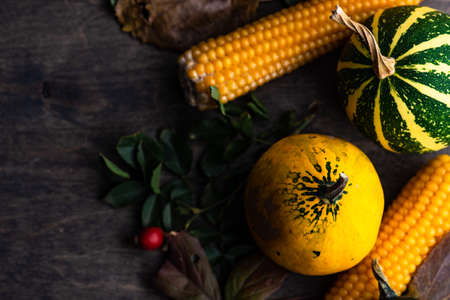 Autumnal frame concept with yellow leaves and pupkins on dark background with copy spaceの写真素材