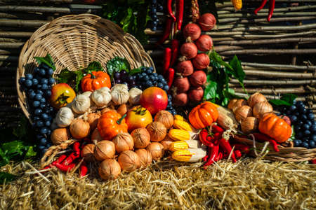 Autumnal fruits and vegetables at the harvest  holiday during Tbilisisoba celebration in Tbilisi, Georgiaの写真素材