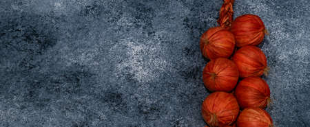 Red onion harvest on stone background as autumnal harvestの写真素材