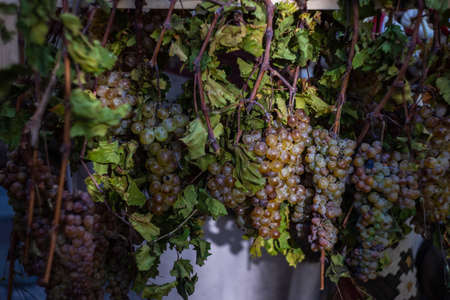 Fresh grape on the stand during the Tbilisoba celebration