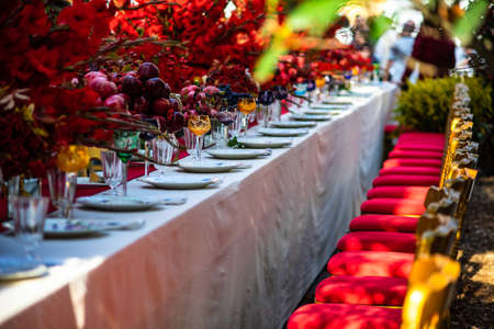 Autumnal table setting in red color decorated with red apples and pomegranateの写真素材