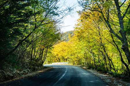 Autumnal mountaine landscape close to Tbilisi city, Georgia, Caucasus area