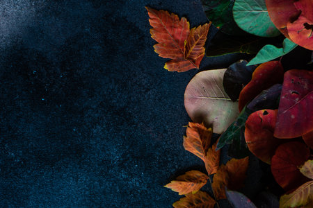 Autumnal frame with yellow and red leaves on stone background with copy space
