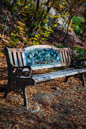 Misty morning in a autumn park. Fallen leavesの写真素材