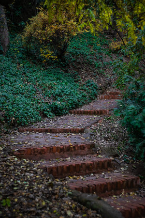 Autumnal park with pathway and yellow leaves