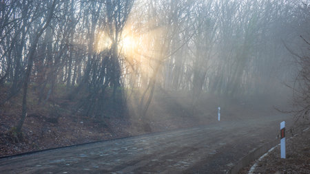Road in the misty autumnal forest in Caucasus mountain